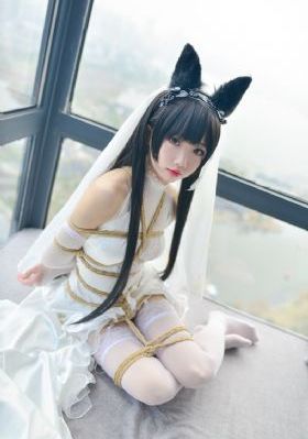红桃影视成人免费